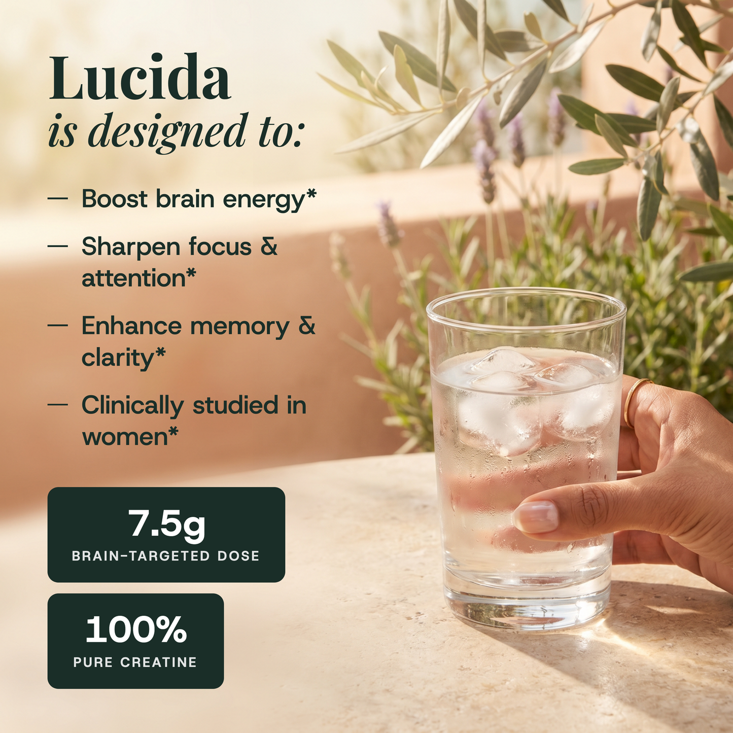 Lucida Clarity